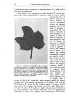 giornale/TO00199161/1935/unico/00000104