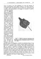 giornale/TO00199161/1935/unico/00000105