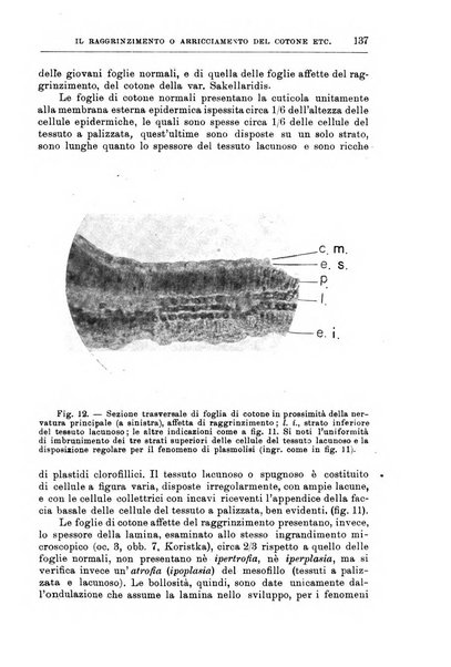 L'agricoltura coloniale organo dell'Istituto agricolo coloniale italiano e dell'Ufficio agrario sperimentale dell'Eritrea