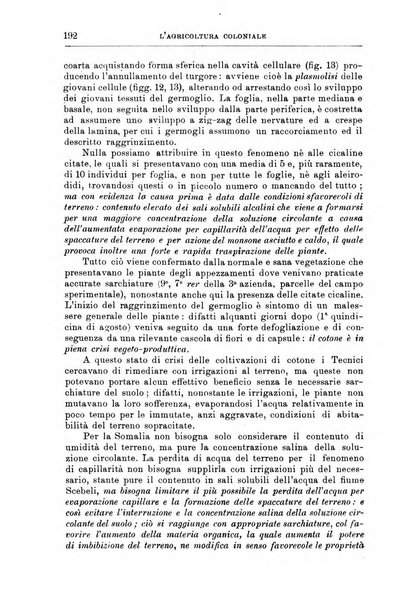 L'agricoltura coloniale organo dell'Istituto agricolo coloniale italiano e dell'Ufficio agrario sperimentale dell'Eritrea