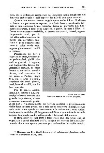 L'agricoltura coloniale organo dell'Istituto agricolo coloniale italiano e dell'Ufficio agrario sperimentale dell'Eritrea