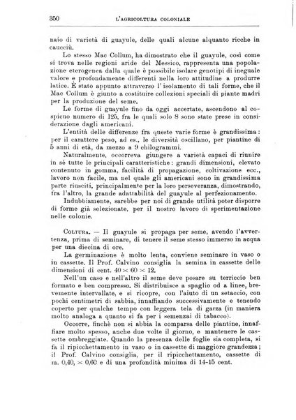 L'agricoltura coloniale organo dell'Istituto agricolo coloniale italiano e dell'Ufficio agrario sperimentale dell'Eritrea