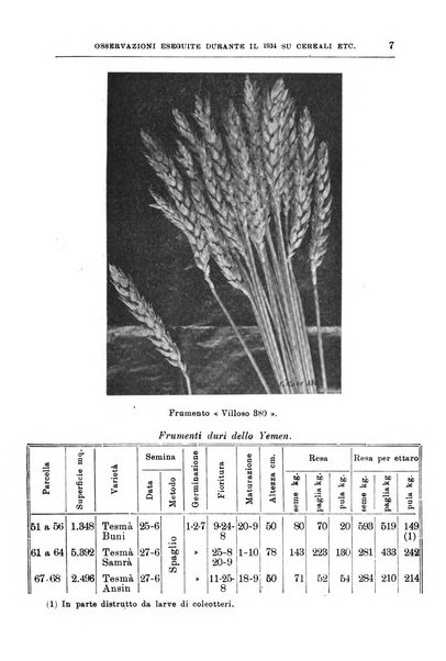 L'agricoltura coloniale organo dell'Istituto agricolo coloniale italiano e dell'Ufficio agrario sperimentale dell'Eritrea