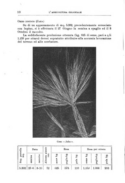 L'agricoltura coloniale organo dell'Istituto agricolo coloniale italiano e dell'Ufficio agrario sperimentale dell'Eritrea