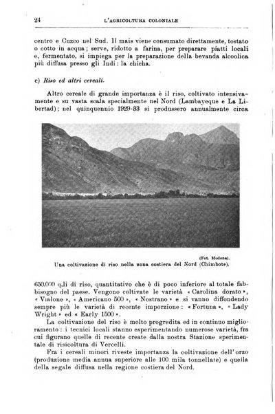 L'agricoltura coloniale organo dell'Istituto agricolo coloniale italiano e dell'Ufficio agrario sperimentale dell'Eritrea