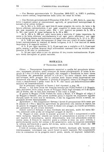 L'agricoltura coloniale organo dell'Istituto agricolo coloniale italiano e dell'Ufficio agrario sperimentale dell'Eritrea