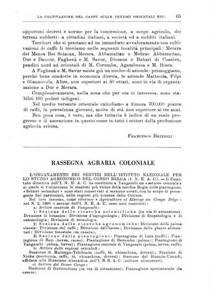 L'agricoltura coloniale organo dell'Istituto agricolo coloniale italiano e dell'Ufficio agrario sperimentale dell'Eritrea