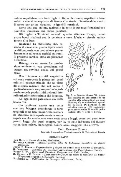 L'agricoltura coloniale organo dell'Istituto agricolo coloniale italiano e dell'Ufficio agrario sperimentale dell'Eritrea