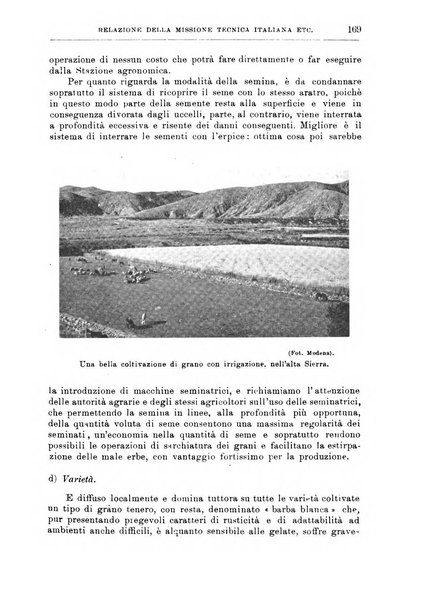 L'agricoltura coloniale organo dell'Istituto agricolo coloniale italiano e dell'Ufficio agrario sperimentale dell'Eritrea