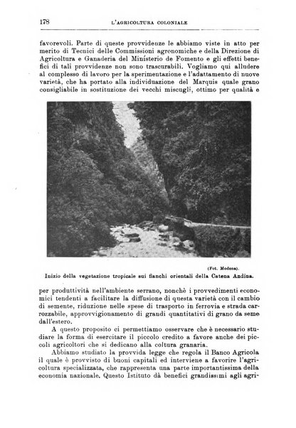 L'agricoltura coloniale organo dell'Istituto agricolo coloniale italiano e dell'Ufficio agrario sperimentale dell'Eritrea