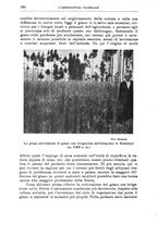 giornale/TO00199161/1936/unico/00000202