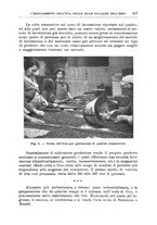 giornale/TO00199161/1936/unico/00000409