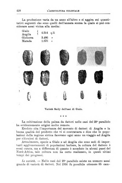 L'agricoltura coloniale organo dell'Istituto agricolo coloniale italiano e dell'Ufficio agrario sperimentale dell'Eritrea