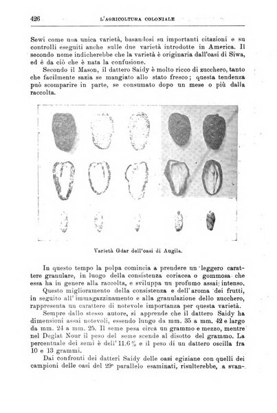 L'agricoltura coloniale organo dell'Istituto agricolo coloniale italiano e dell'Ufficio agrario sperimentale dell'Eritrea