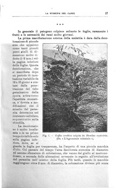 L'agricoltura coloniale organo dell'Istituto agricolo coloniale italiano e dell'Ufficio agrario sperimentale dell'Eritrea