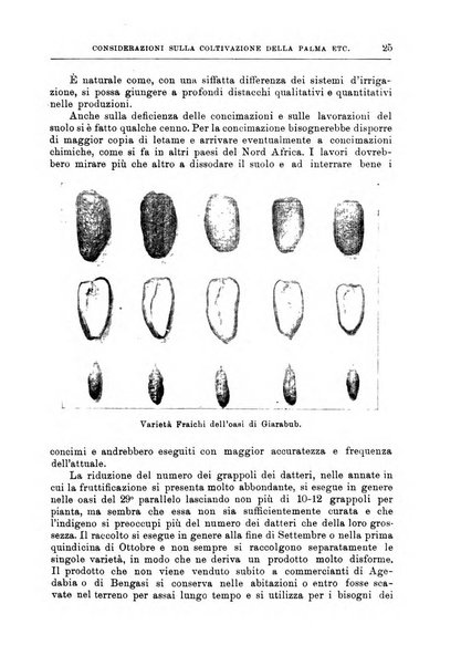 L'agricoltura coloniale organo dell'Istituto agricolo coloniale italiano e dell'Ufficio agrario sperimentale dell'Eritrea