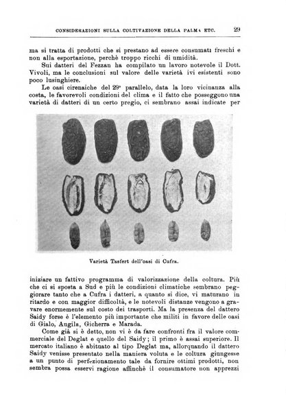 L'agricoltura coloniale organo dell'Istituto agricolo coloniale italiano e dell'Ufficio agrario sperimentale dell'Eritrea