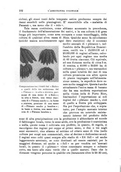 L'agricoltura coloniale organo dell'Istituto agricolo coloniale italiano e dell'Ufficio agrario sperimentale dell'Eritrea