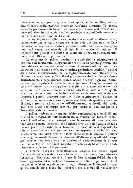 L'agricoltura coloniale organo dell'Istituto agricolo coloniale italiano e dell'Ufficio agrario sperimentale dell'Eritrea