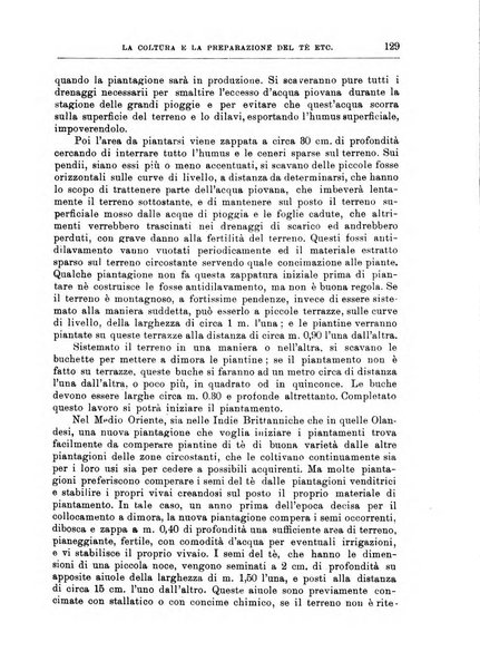 L'agricoltura coloniale organo dell'Istituto agricolo coloniale italiano e dell'Ufficio agrario sperimentale dell'Eritrea