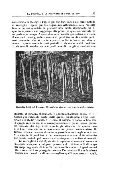 L'agricoltura coloniale organo dell'Istituto agricolo coloniale italiano e dell'Ufficio agrario sperimentale dell'Eritrea