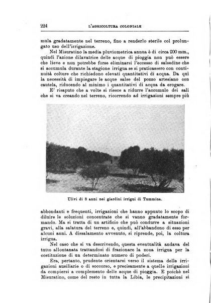 L'agricoltura coloniale organo dell'Istituto agricolo coloniale italiano e dell'Ufficio agrario sperimentale dell'Eritrea