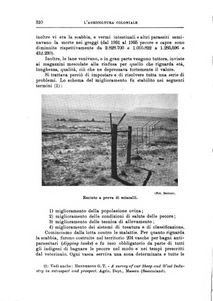 L'agricoltura coloniale organo dell'Istituto agricolo coloniale italiano e dell'Ufficio agrario sperimentale dell'Eritrea