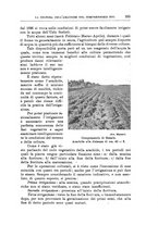 giornale/TO00199161/1937/unico/00000369