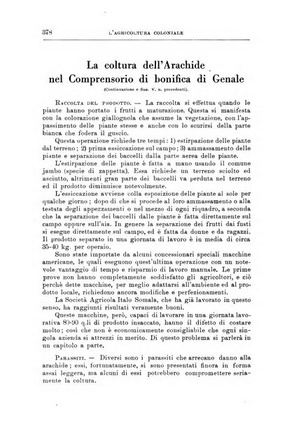 L'agricoltura coloniale organo dell'Istituto agricolo coloniale italiano e dell'Ufficio agrario sperimentale dell'Eritrea