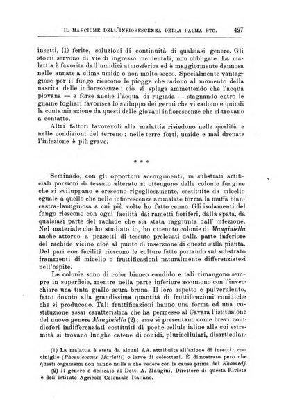 L'agricoltura coloniale organo dell'Istituto agricolo coloniale italiano e dell'Ufficio agrario sperimentale dell'Eritrea