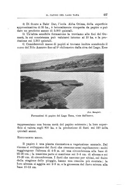 L'agricoltura coloniale organo dell'Istituto agricolo coloniale italiano e dell'Ufficio agrario sperimentale dell'Eritrea