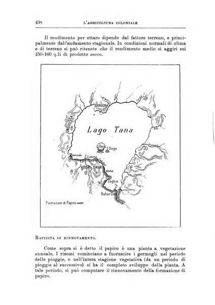 L'agricoltura coloniale organo dell'Istituto agricolo coloniale italiano e dell'Ufficio agrario sperimentale dell'Eritrea