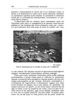 giornale/TO00199161/1937/unico/00000514