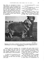 giornale/TO00199161/1938/unico/00000035