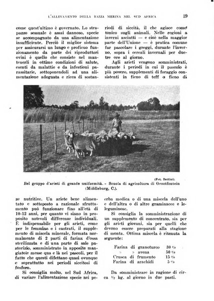 L'agricoltura coloniale organo dell'Istituto agricolo coloniale italiano e dell'Ufficio agrario sperimentale dell'Eritrea