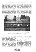 giornale/TO00199161/1938/unico/00000039