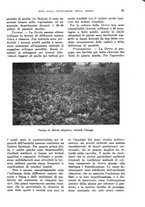 giornale/TO00199161/1938/unico/00000049