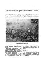 giornale/TO00199161/1938/unico/00000140