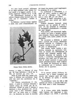 giornale/TO00199161/1938/unico/00000142