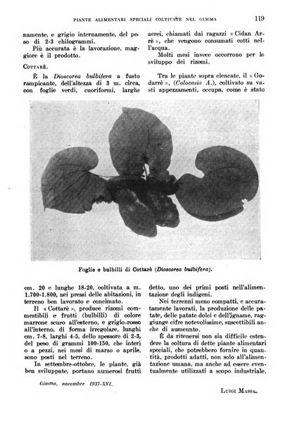 L'agricoltura coloniale organo dell'Istituto agricolo coloniale italiano e dell'Ufficio agrario sperimentale dell'Eritrea