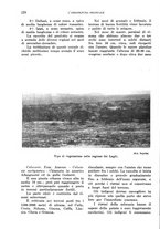 giornale/TO00199161/1938/unico/00000208
