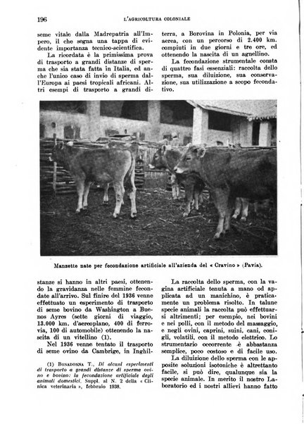 L'agricoltura coloniale organo dell'Istituto agricolo coloniale italiano e dell'Ufficio agrario sperimentale dell'Eritrea