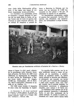 giornale/TO00199161/1938/unico/00000230