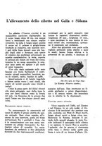 giornale/TO00199161/1938/unico/00000245