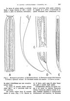 giornale/TO00199161/1938/unico/00000281