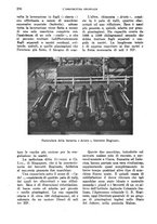 giornale/TO00199161/1938/unico/00000338