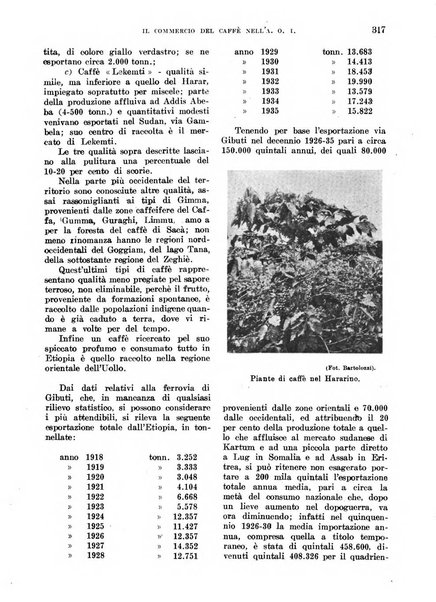 L'agricoltura coloniale organo dell'Istituto agricolo coloniale italiano e dell'Ufficio agrario sperimentale dell'Eritrea