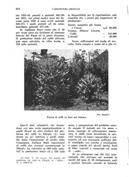 L'agricoltura coloniale organo dell'Istituto agricolo coloniale italiano e dell'Ufficio agrario sperimentale dell'Eritrea