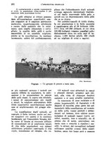 giornale/TO00199161/1938/unico/00000416