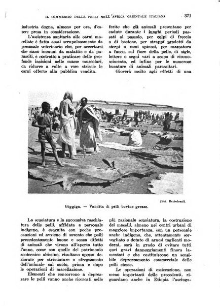 L'agricoltura coloniale organo dell'Istituto agricolo coloniale italiano e dell'Ufficio agrario sperimentale dell'Eritrea